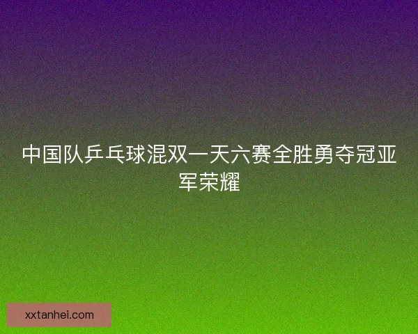 中国队乒乓球混双一天六赛全胜勇夺冠亚军荣耀